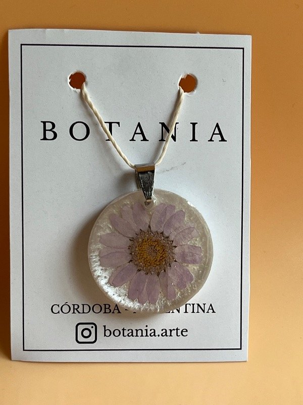 Producto - Margarita 10