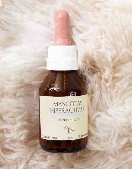 Producto - MASCOTAS HIPERACTIVAS