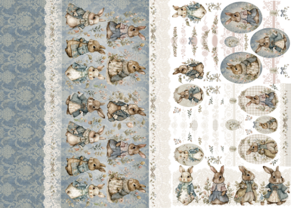 Producto - RABBIT 4B