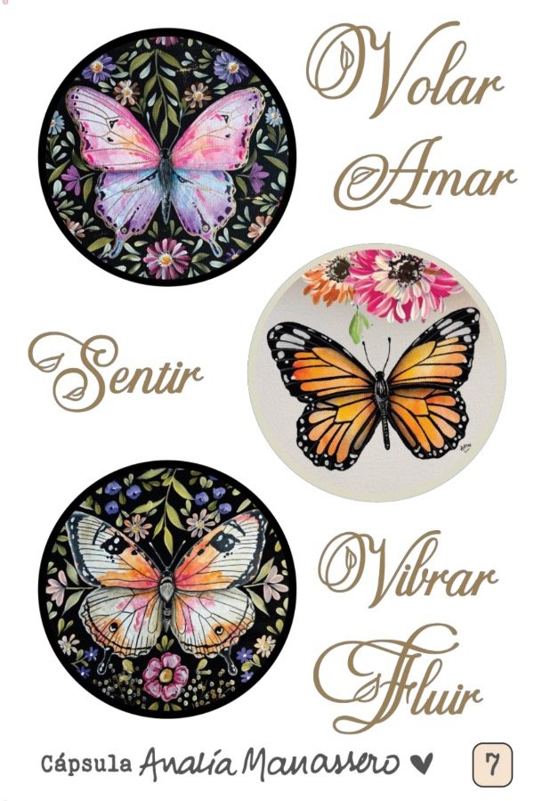 Producto - TransferUV colección Analia Manassero 007