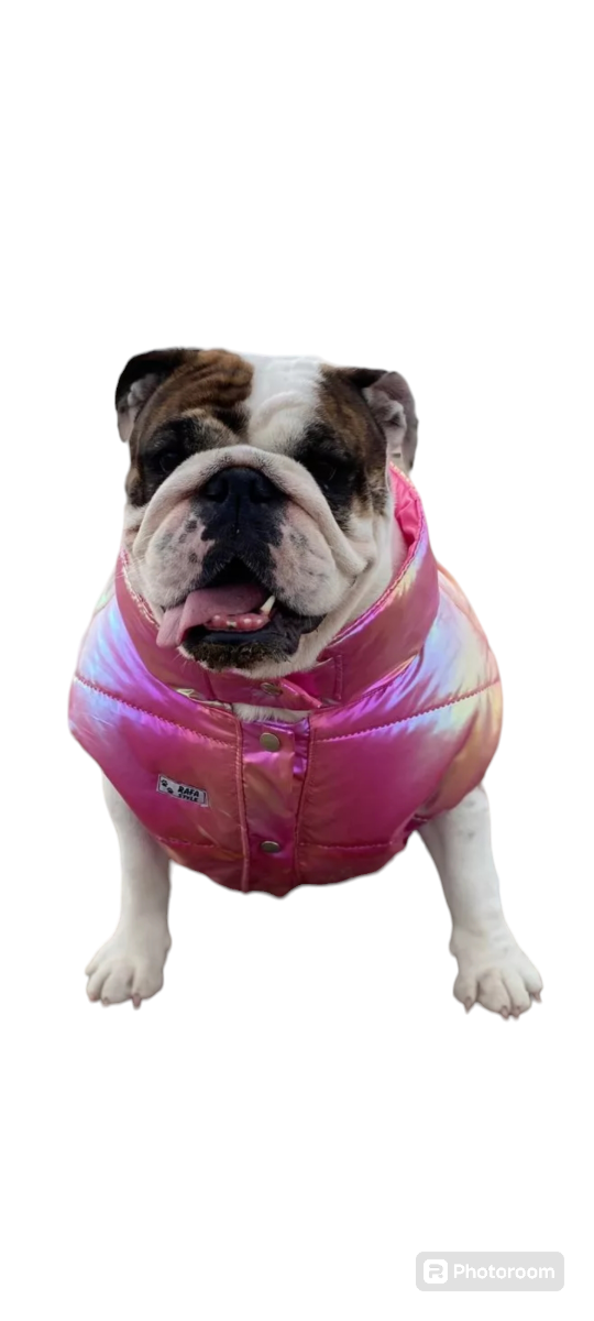Producto - Chaqueta Jocker puffer impermeable