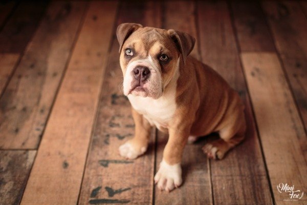 Miniatura de producto - 8