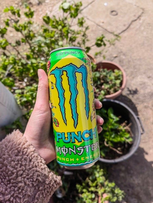 Producto - Monster Energy Rio Punch