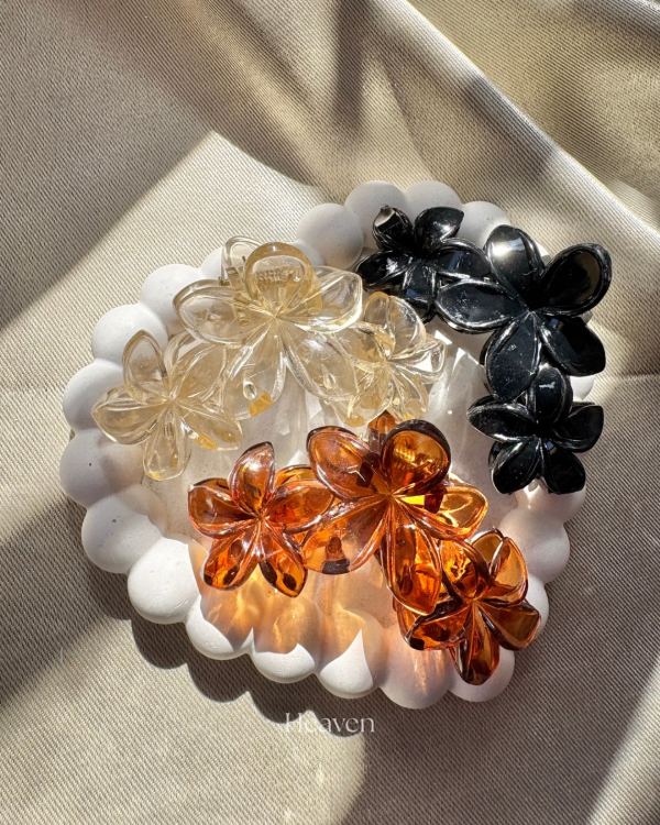 Producto - Broches medianos hawai