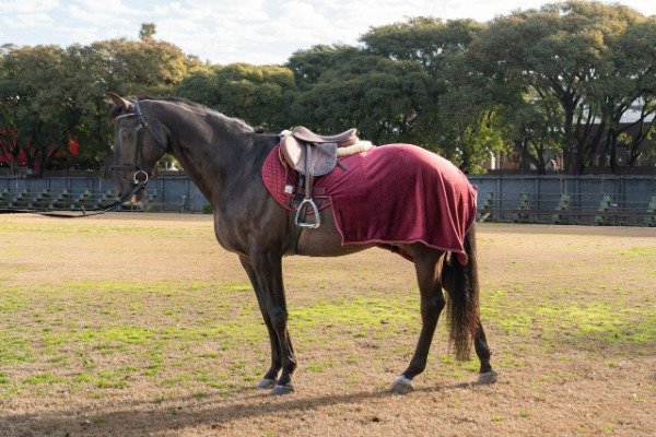 Producto - Manta Riñonera Cordery