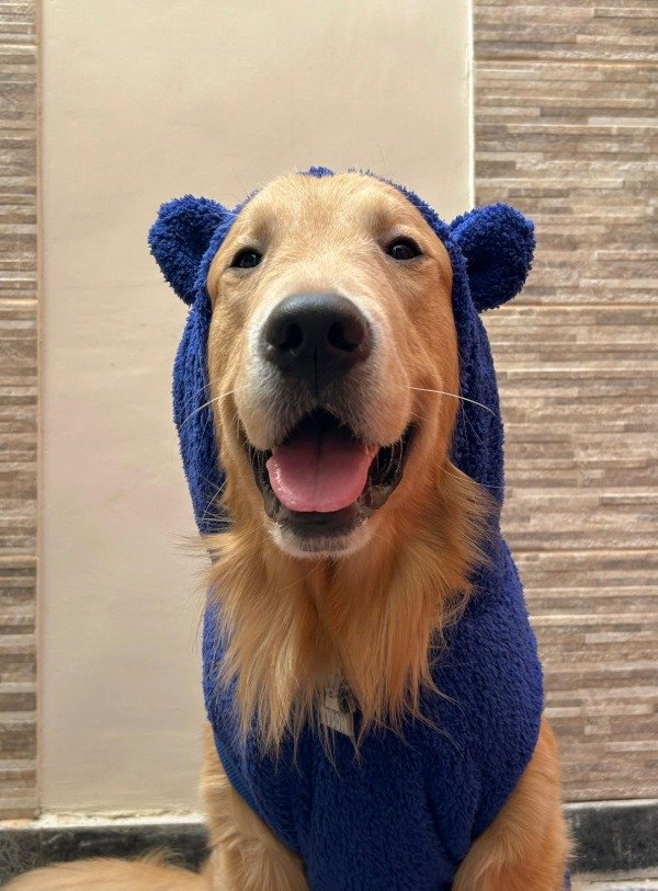 Producto - Buzo de corderito