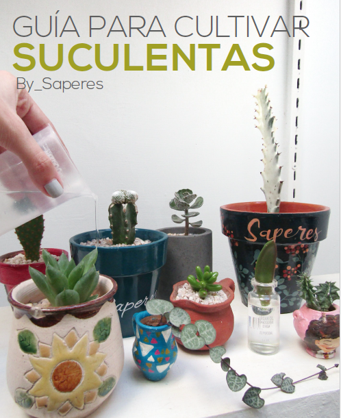 Producto - Guía Para Cultivar Suculentas