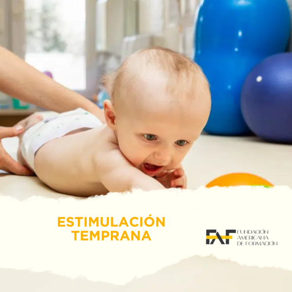 Producto - Estimulación Temprana