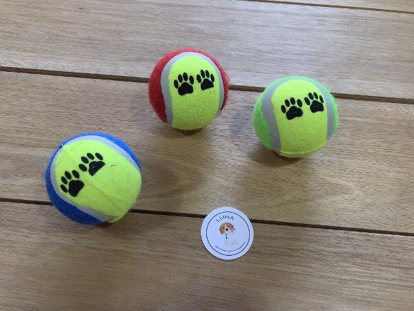 Producto - Pelota de tenis