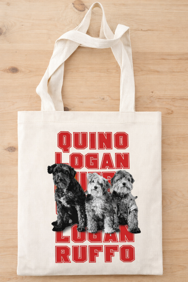 Producto - Bolsas Lienzo 3-4 mascotas