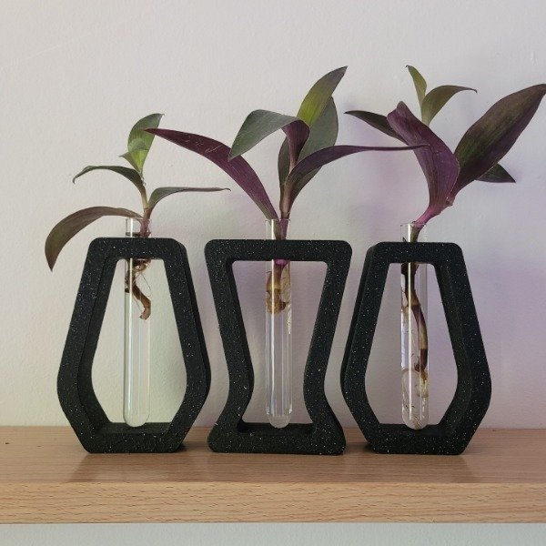 Producto - Set x3 Hidroterrarios - Raiz