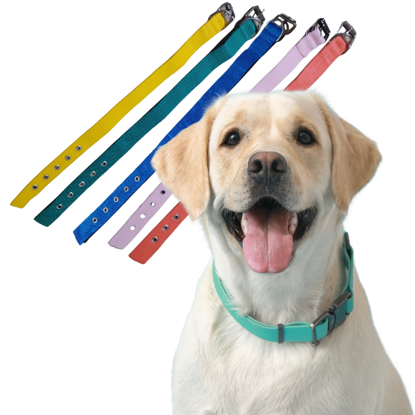 Producto - Collar Para Perros Termofusionados 50 Cm Largo 3 Cm Ancho - 6