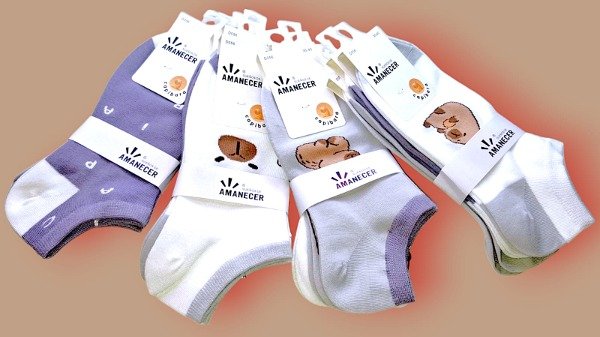 Producto - Media soquete Capybara celeste/marrón motivo al azar