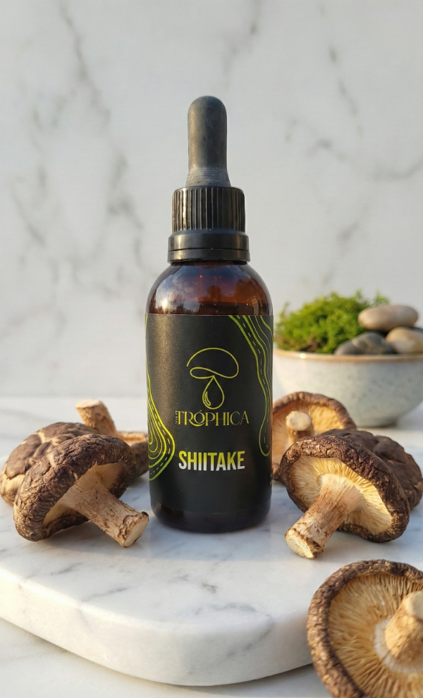 Producto - Shiitake: Tu Escudo de Inmunidad y Belleza Natural