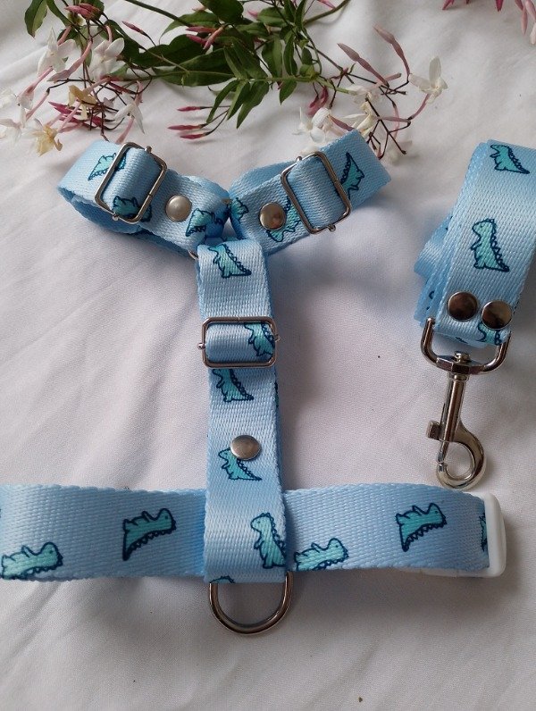 Producto - Conjunto Dino Baby Blue - 0