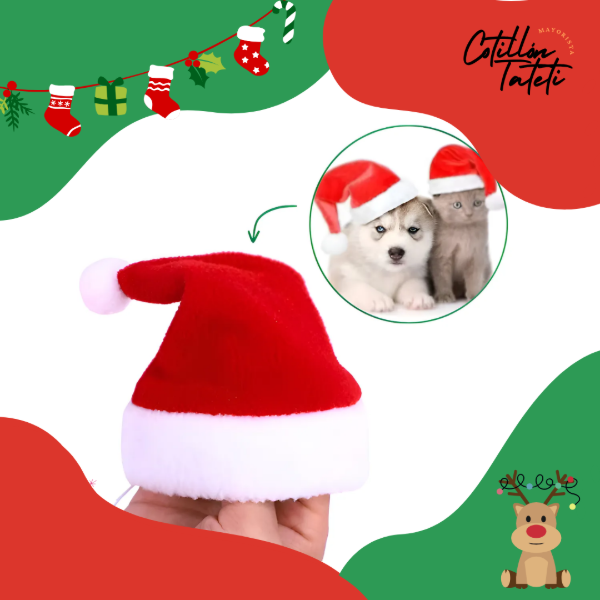 Producto - GORRO PARA MASCOTAS