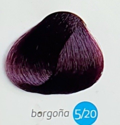 Producto - TINTURA PROFESIONAL RBX (BORGOÑA))