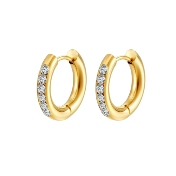 Producto - ARGOLLAS DIANA