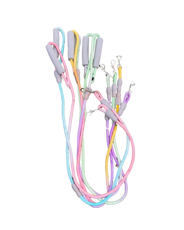 Producto - Correa Pretal