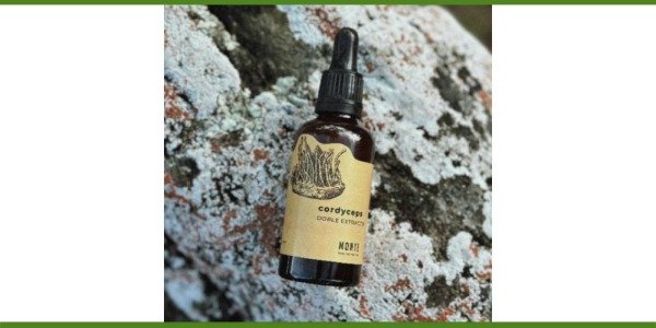Producto - Extracto doble de Cordyceps x 50 ml Monte