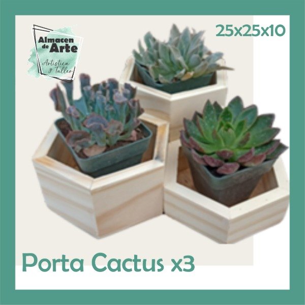 Producto - LDG Porta Cactus x 3