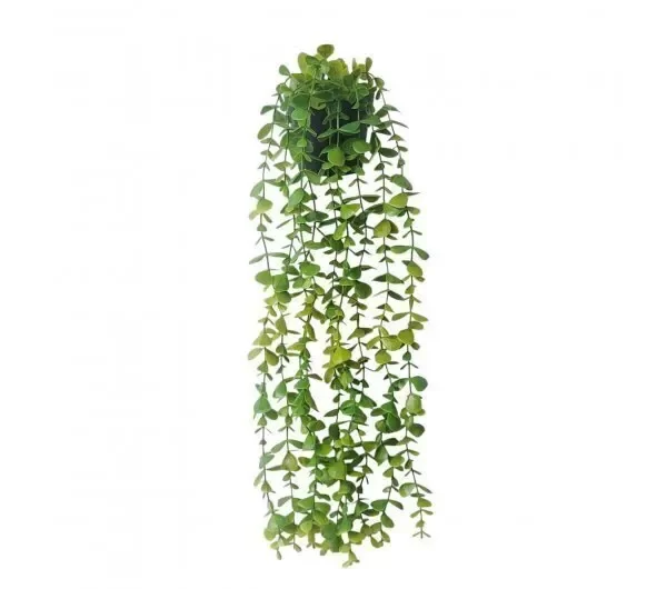Producto - Planta Colgante 7530