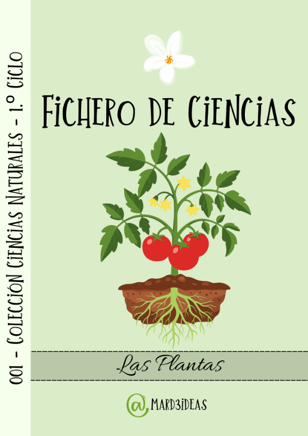 Producto - Unidad 001 Las Plantas Primer Ciclo
