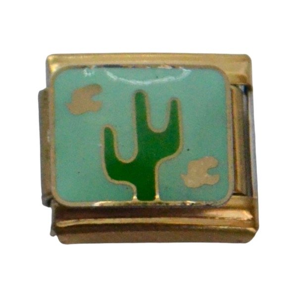 Producto - Charm Cactus