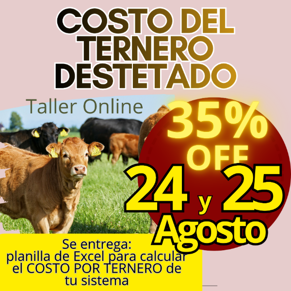 Producto - Taller Online: Costo del Ternero