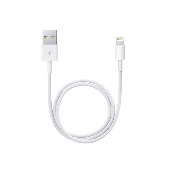 Producto - Cable iPhone lightning - 1