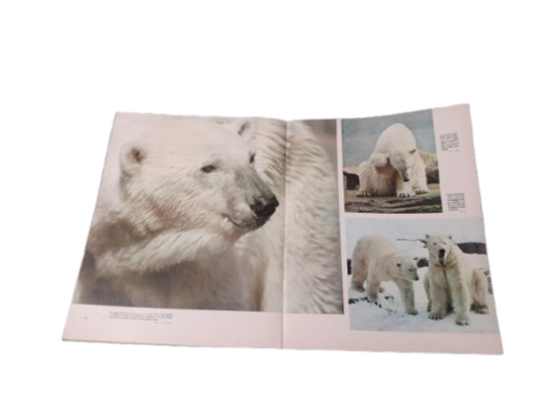 Miniatura de producto - 5