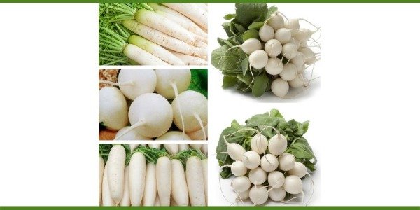 Producto - Nabos agroecológicos de estación de La Milpa