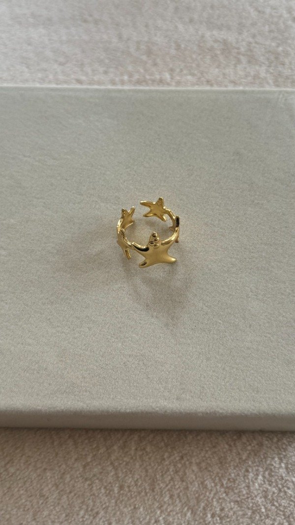 Producto - Anillo Venecia - 1