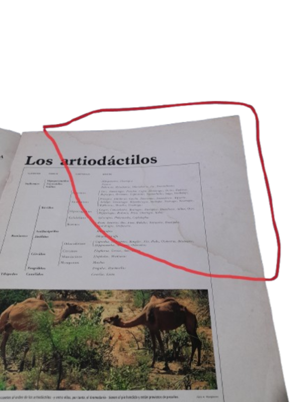 Miniatura de producto - 6