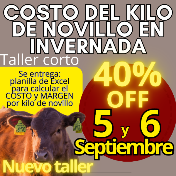 Producto - Taller corto: cálculo del costo del kilo de novillo - 0