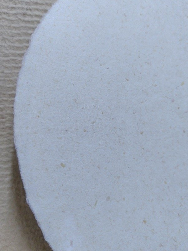 Producto - Fibra Especial - 25cm