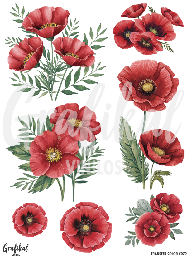 Producto - TransferColor 15x20 079