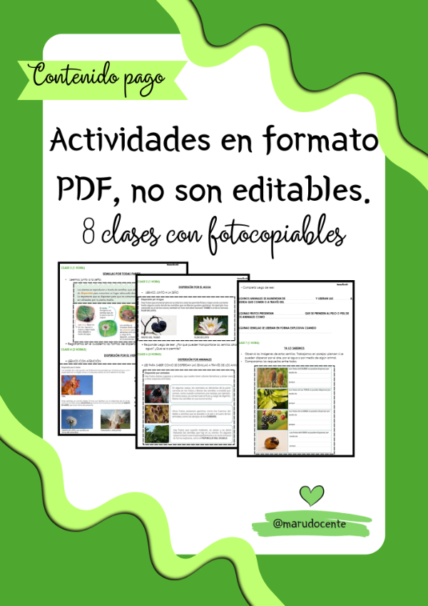 Miniatura de producto - 8