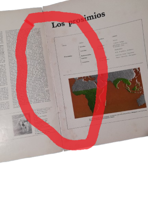 Miniatura de producto - 7