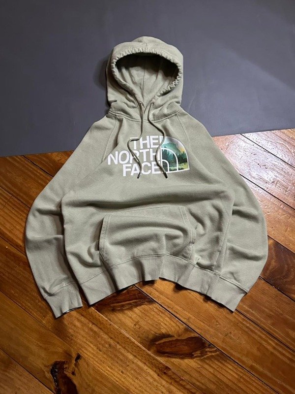Producto - TNF BIG LOGO HODDIE (M Fem)