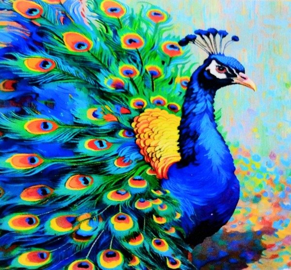 Producto - Kit de pintura por diamante Pavo Real 30x40cm