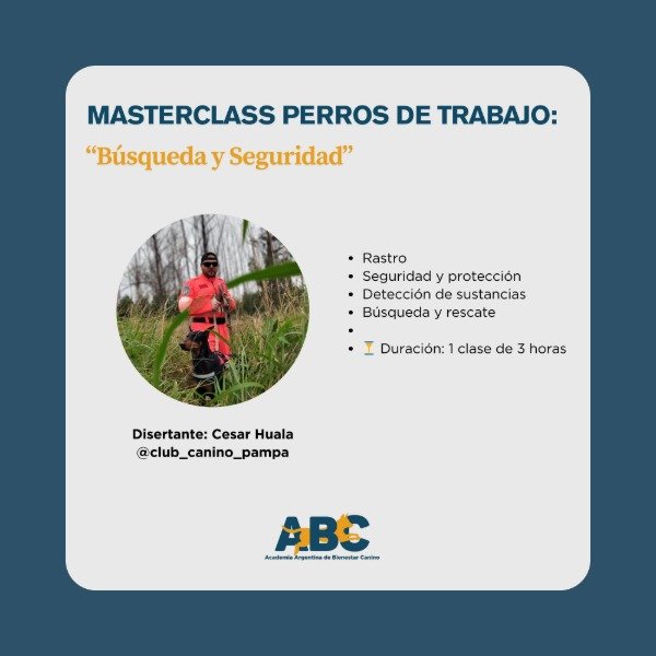 Producto - PERROS DE TRABAJO: Búsqueda y Seguridad