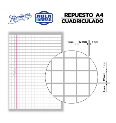 Producto - Repuestos de hojas para carpetas A4 CUADRICULADAS - 2