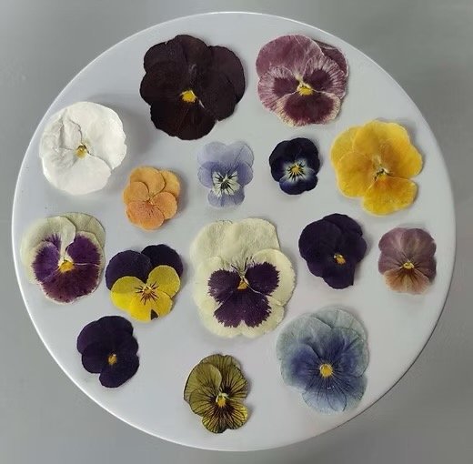 Producto - Petalos Pensamientos Flores Deshidratadas Comestibles