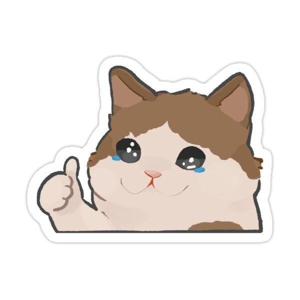 Producto - MICHI LAGRIMAS