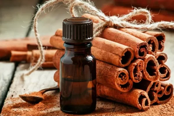 Producto - ACEITE ESENCIAL CANELA 15 ML