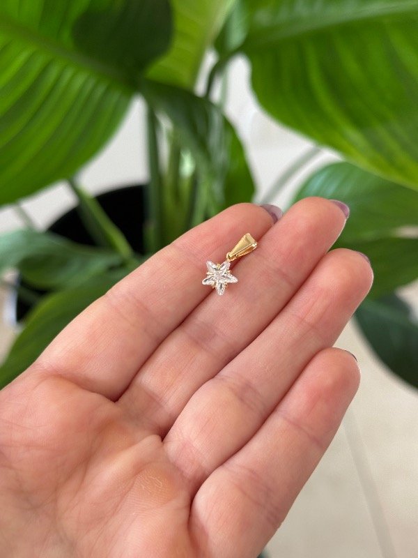 Producto - Dije Estrella gold - 0