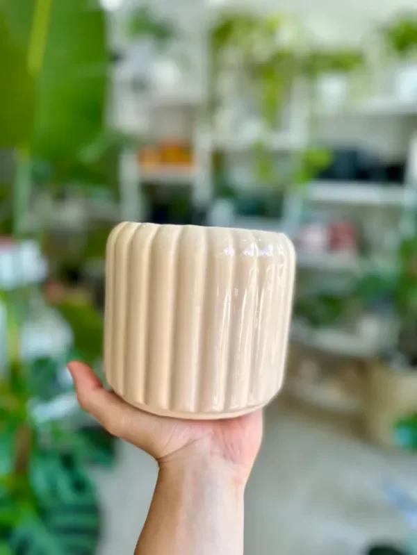 Producto - Maceta Rueda