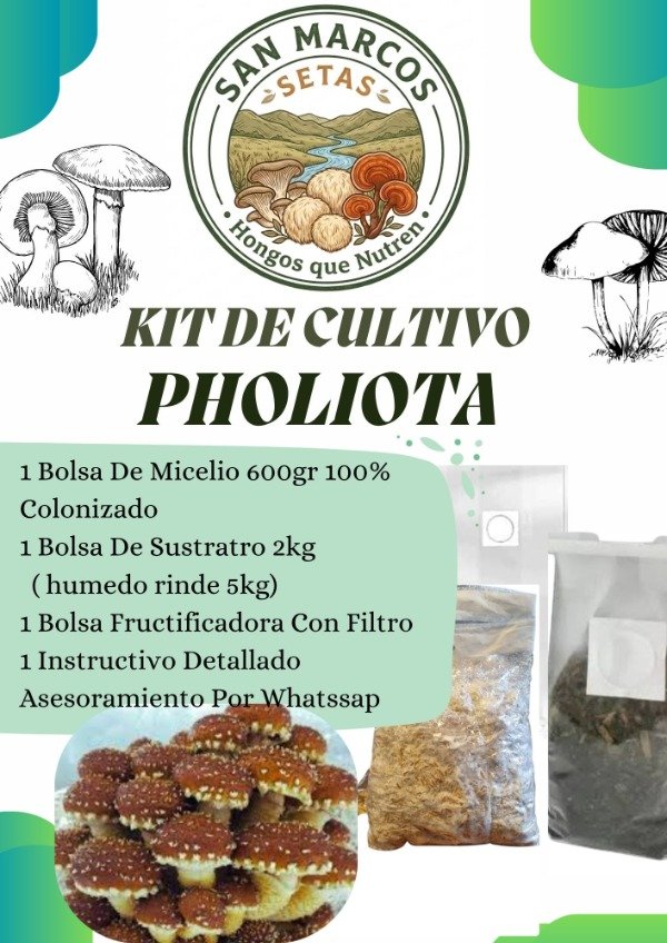 Producto - KIT 1