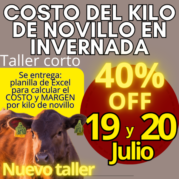 Producto - Taller corto: cálculo del costo del kilo de novillo